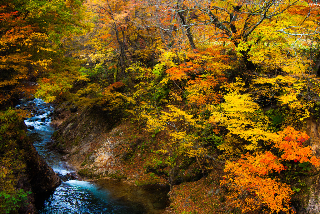 紅葉⑧荘川まとば橋