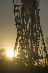 Oasis　Wheel　