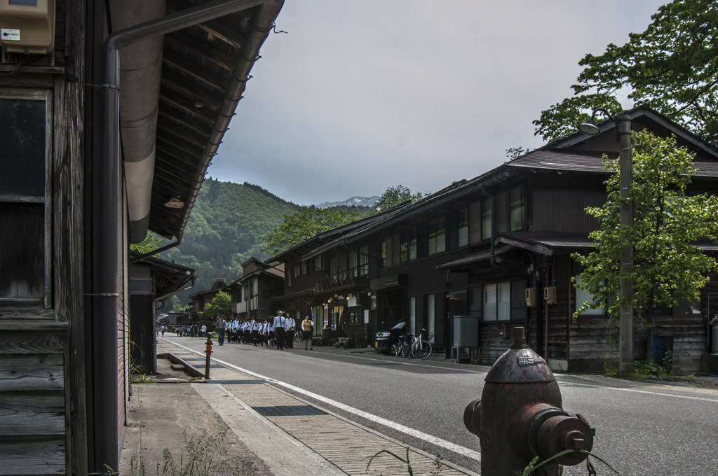 新緑の白川郷（修学旅行）