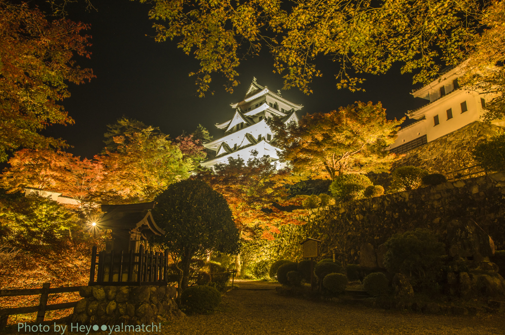 天空の城「郡上八幡城」紅葉ライトアップ