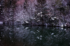 上池の雪景色