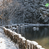 下池の冬景色②