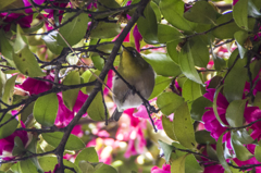 庄内緑地公園で・・・・・