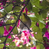 庄内緑地公園で・・・・・