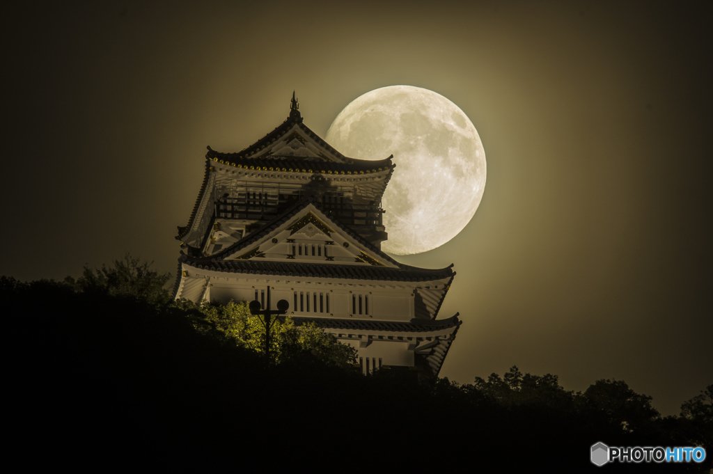 中秋の名月と岐阜城