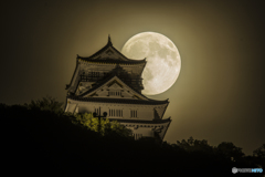 中秋の名月と岐阜城