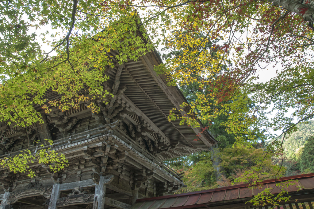 大矢田神社④