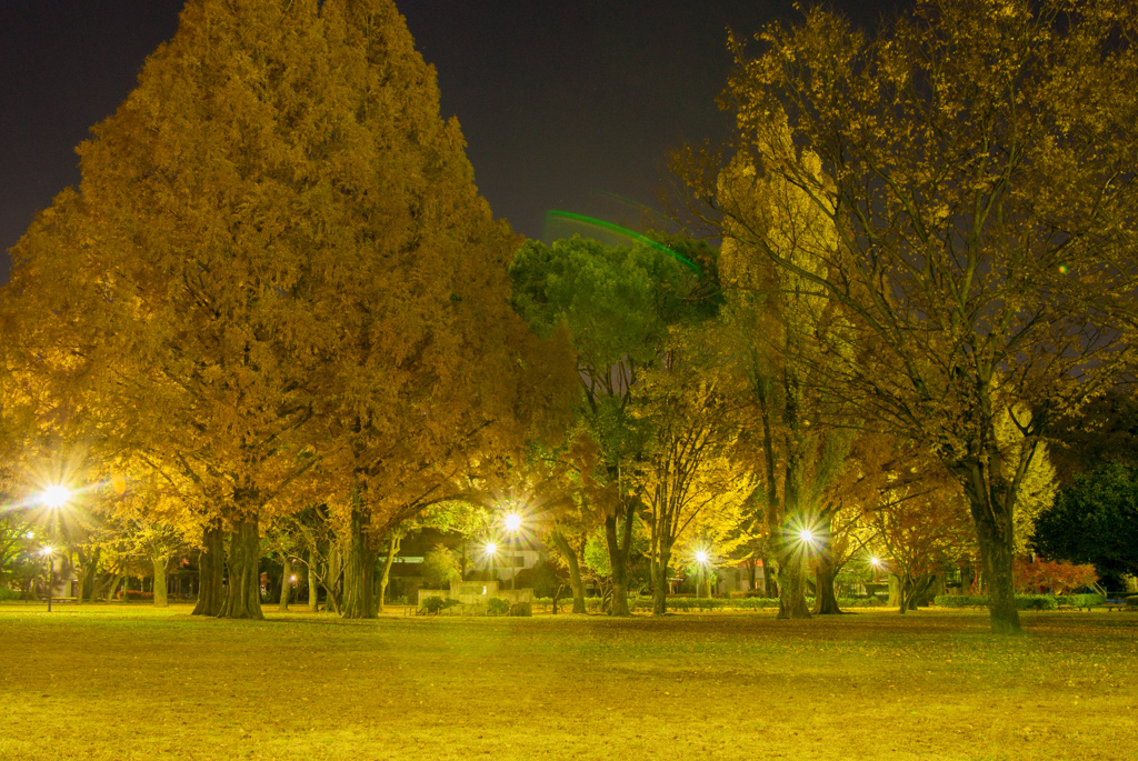 野一色公園⑬