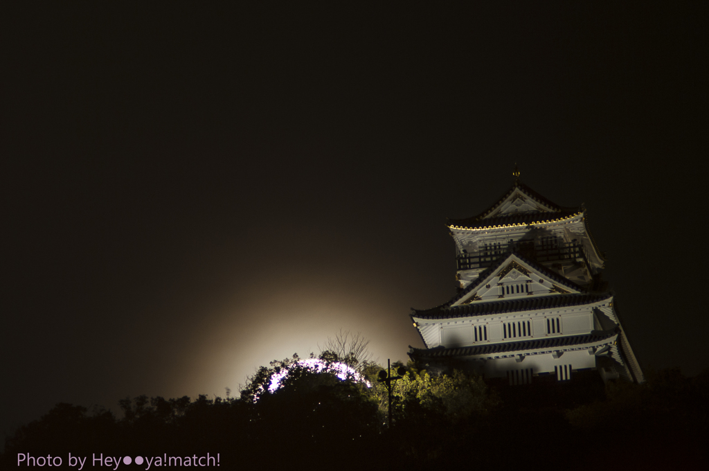 満月の夜に