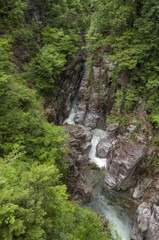 新緑の川浦渓谷（17mm新緑編）