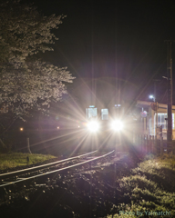 夜桜列車（樽見鉄道）