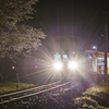 夜桜列車（樽見鉄道）