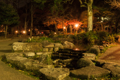 岐阜公園の庭園