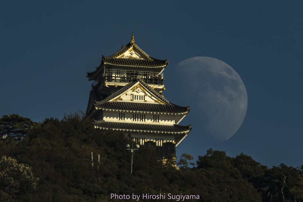 岐阜城と月