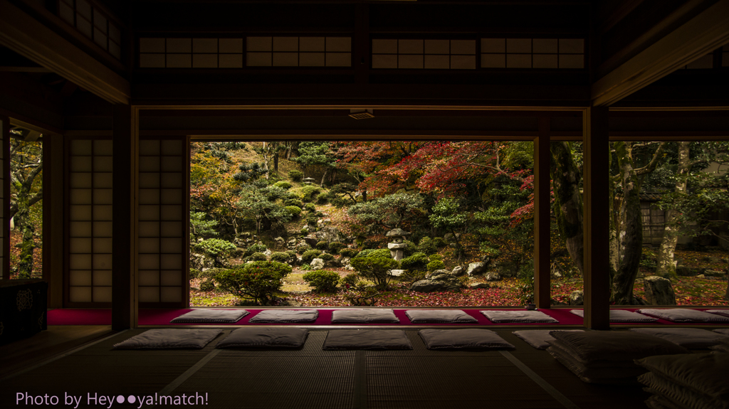 清瀧寺徳源院（晩秋の庭園）Ⅱ