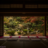 清瀧寺徳源院（晩秋の庭園）Ⅱ