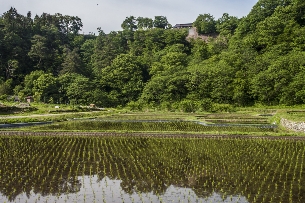世界遺産白川郷の展望台（展望台を含めた世界遺産かどうか？）
