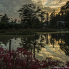 大智寺の彼岸花