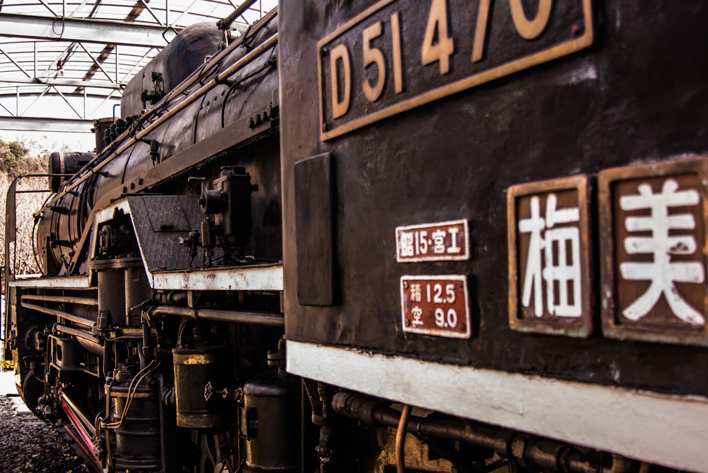 蒸気機関車D51サイドビュー