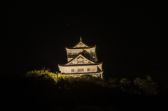 岐阜城（試写）