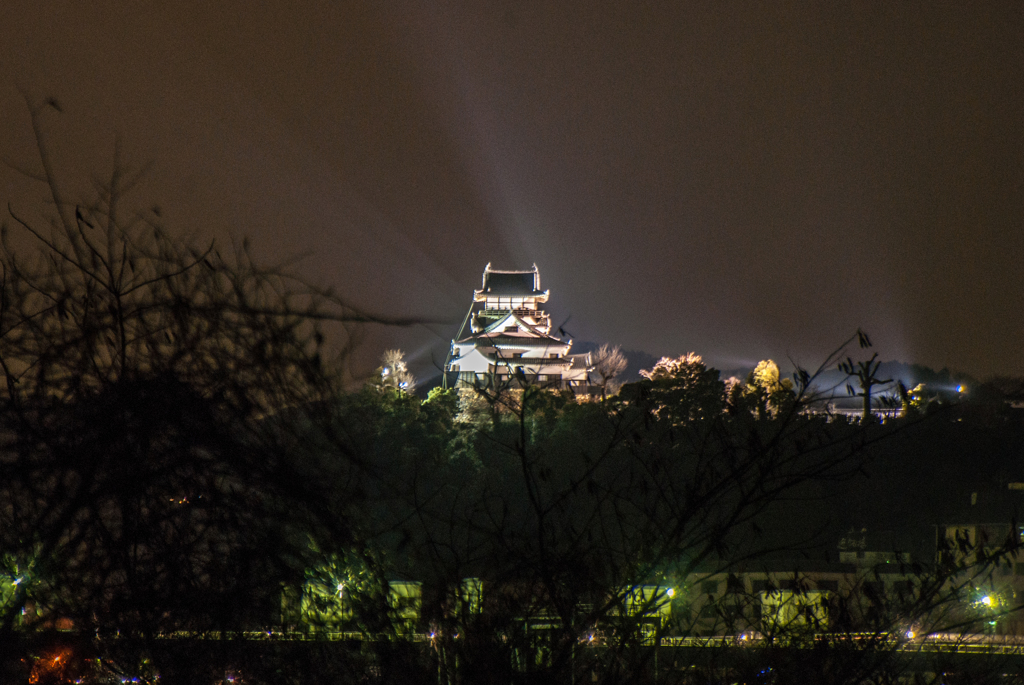 ライトアップの犬山城 冬 By ねえ やまっち Id 写真共有サイト Photohito