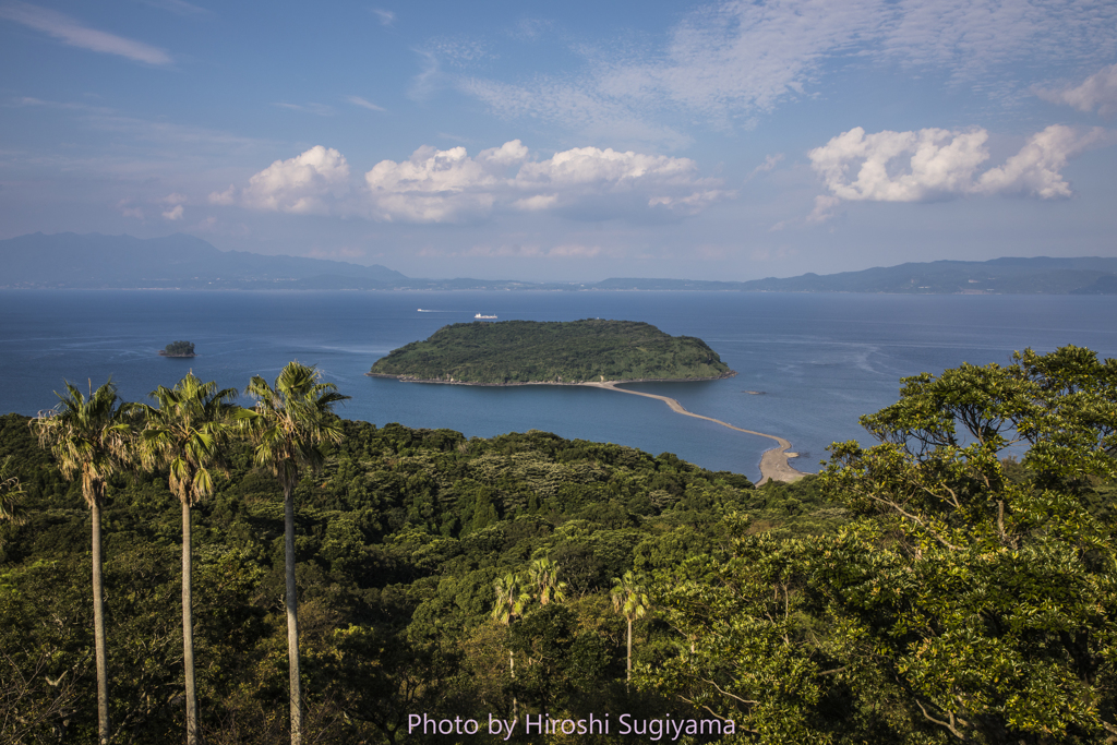 知林ヶ島