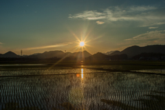 夕陽に輝く引水