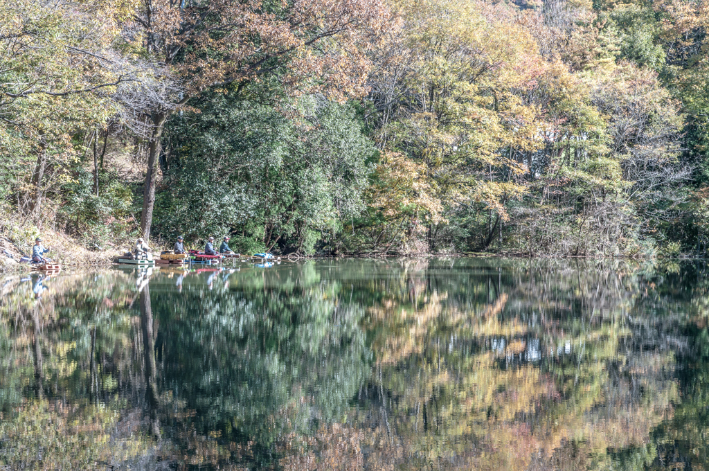 上池の秋彩