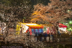 夜桜と露店