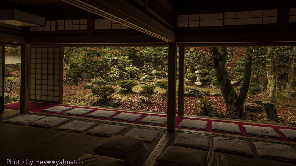 清瀧寺徳源院（晩秋の庭園）Ⅲ