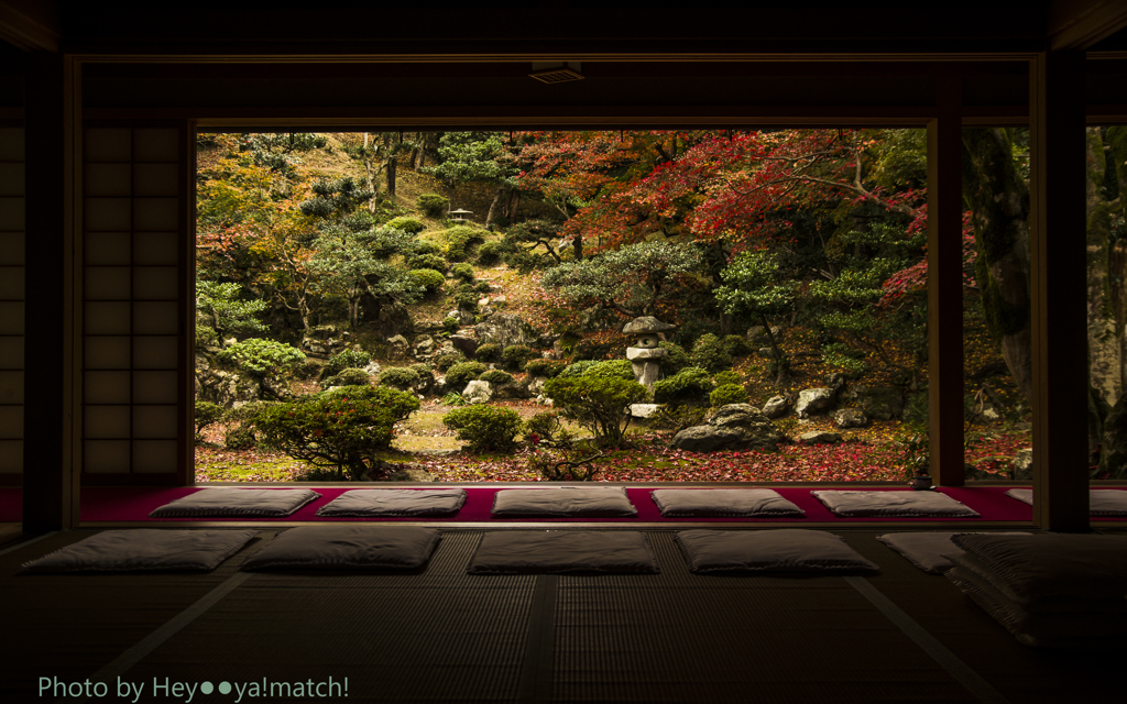 清瀧寺徳源院（晩秋の庭園）