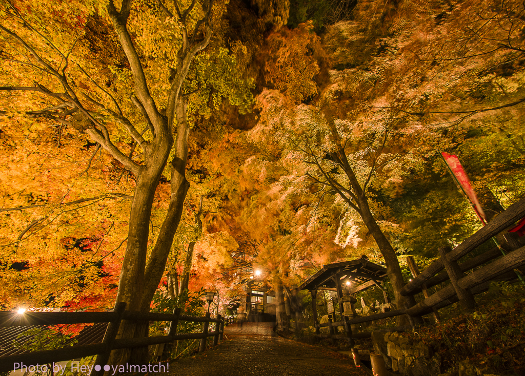 下呂温泉寺の秋彩