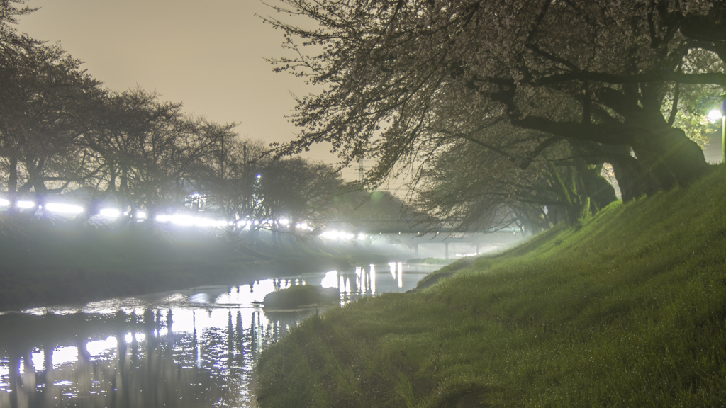 百十郎夜桜（３）