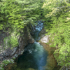 三尾河渓谷の新緑