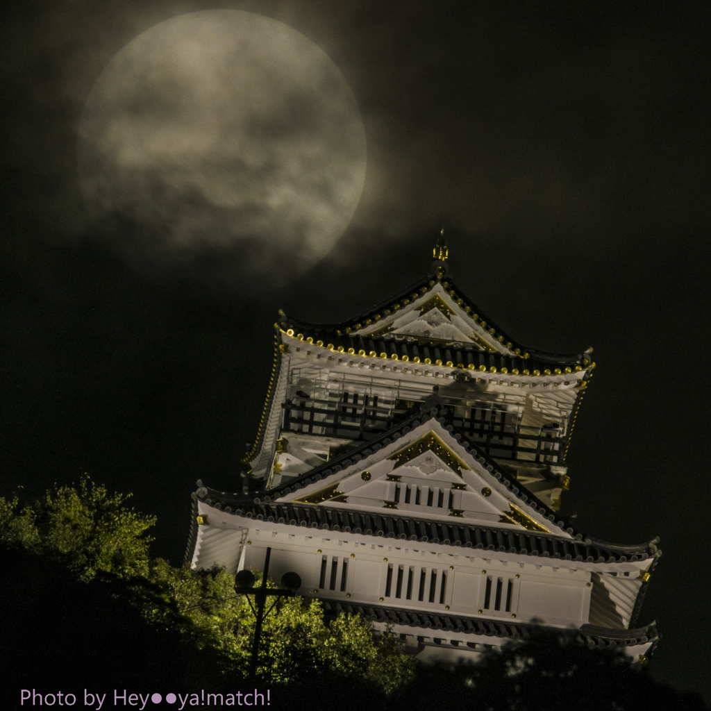 十六夜の月