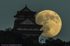 岐阜城と夕月