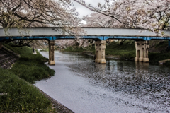瑞穂橋と花片川①