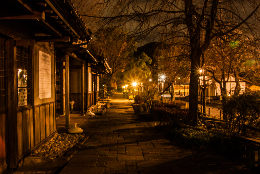 岐阜公園の小路