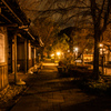 岐阜公園の小路