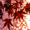 紅葉⑰三井池