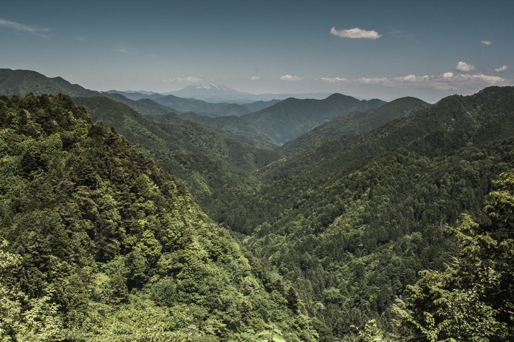 御嶽・緑御前・十二一重・2013