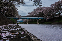 瑞穂橋と花片川②