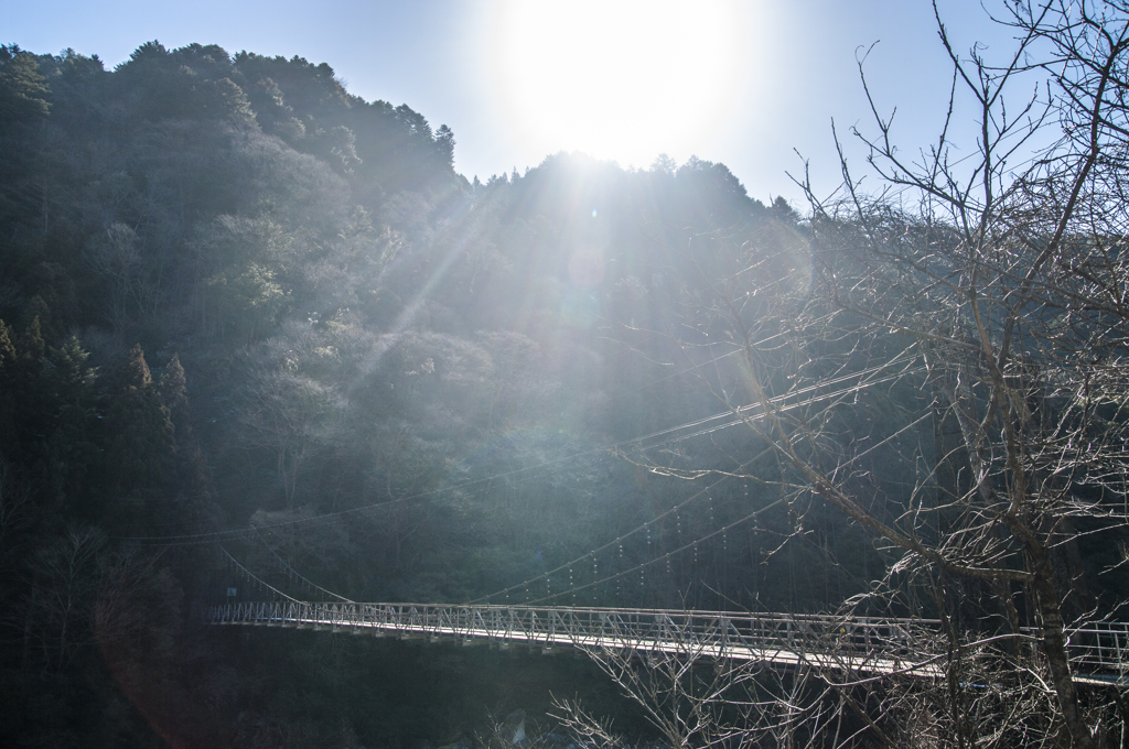 希望への架け橋（中山七里）