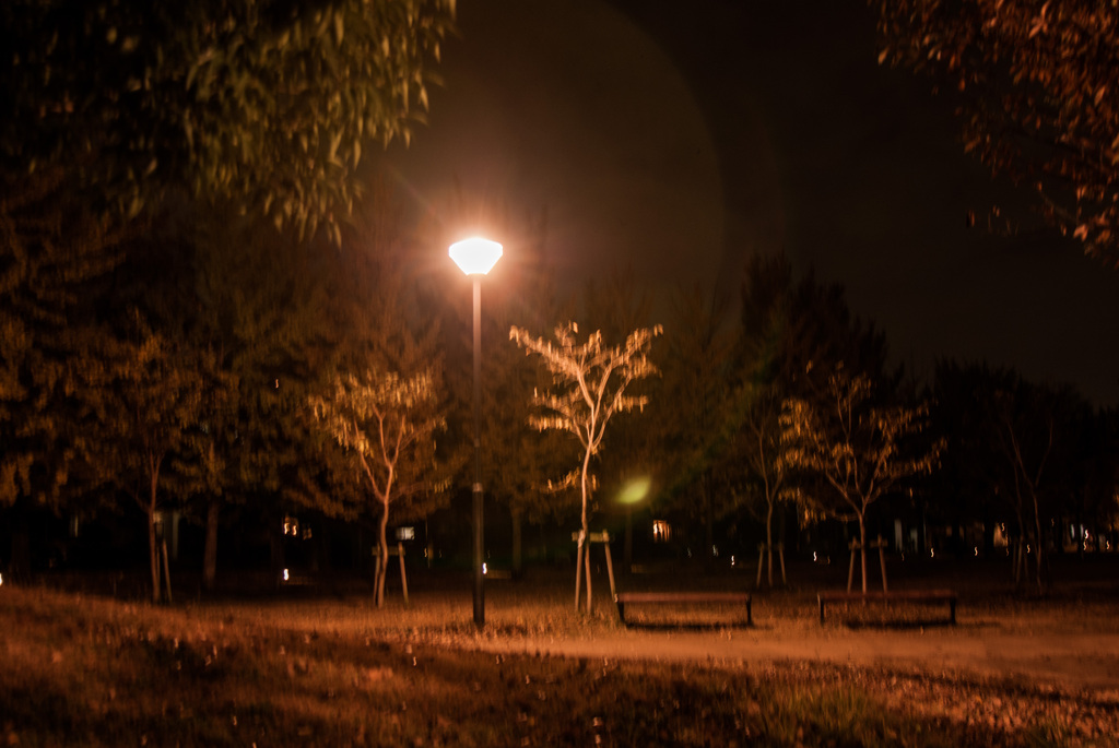 公園の街灯