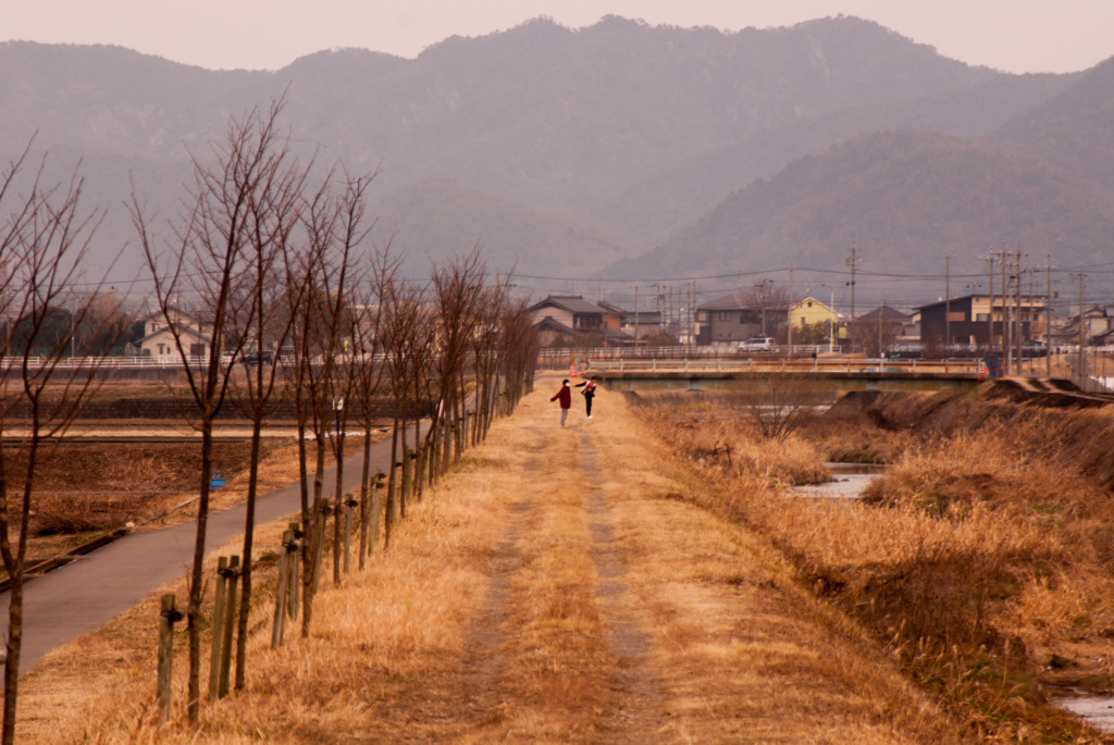 新境川の堤防から