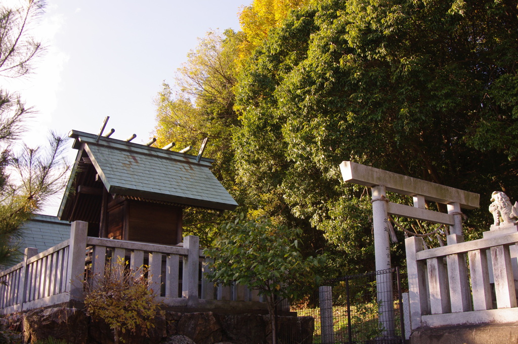 三池水神神社①