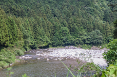 尾倉地区鮎の里の下流