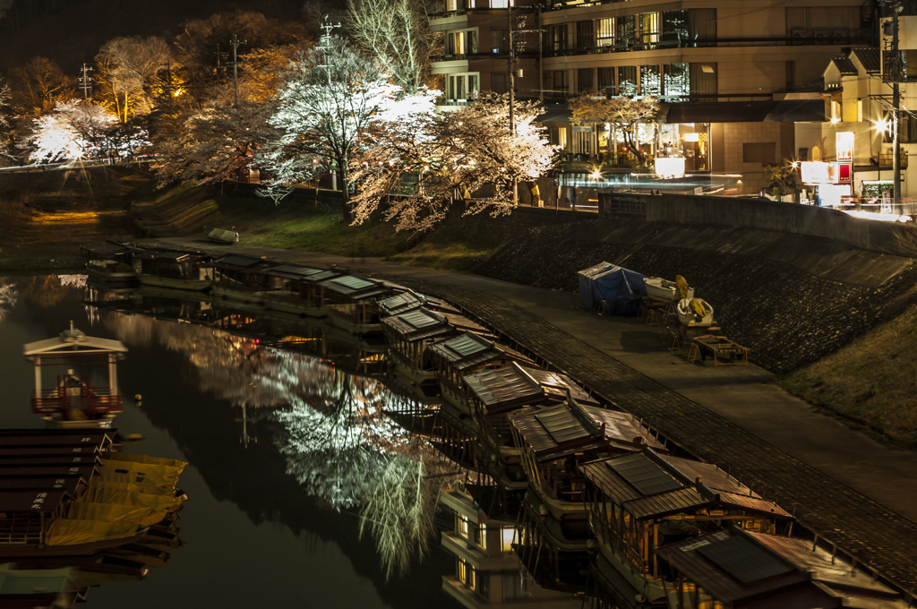 屋形船に夜桜鏡