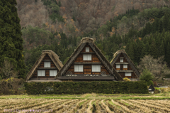 三連合掌造り（晩秋）