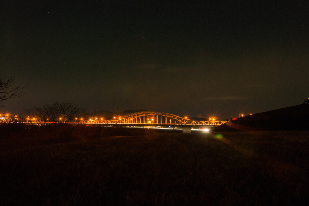 冬夜の長良川河畔（忠節橋下流）
